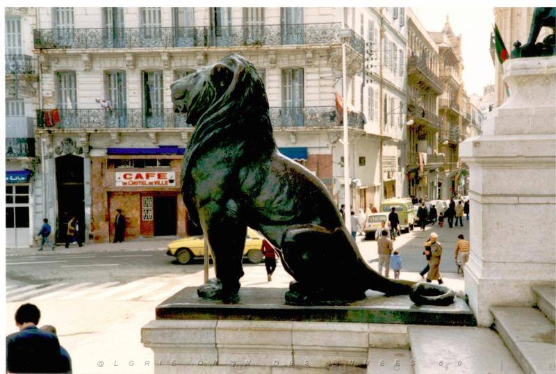 810  1988  UN LION DE LA MAIRIE.JPG